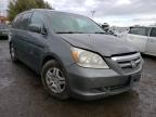 HONDA - ODYSSEY