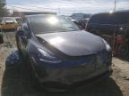 TESLA - MODEL Y