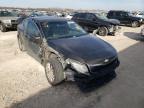 KIA - OPTIMA