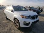 KIA - SORENTO