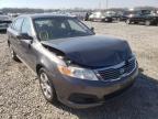 KIA - OPTIMA