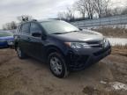 TOYOTA - RAV4