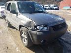 FORD - ESCAPE