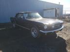 FORD - MUSTANG