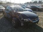 HONDA - ACCORD