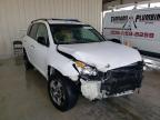 TOYOTA - RAV4