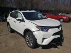 TOYOTA - RAV4