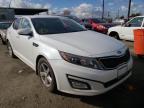 KIA - OPTIMA