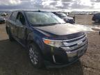 FORD - EDGE