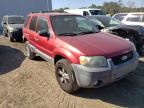 FORD - ESCAPE