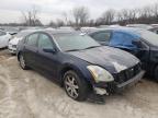 NISSAN - MAXIMA