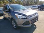 FORD - ESCAPE