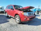 FORD - ESCAPE