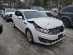 KIA - OPTIMA