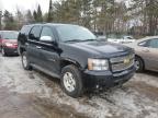 CHEVROLET - TAHOE