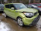 KIA - SOUL