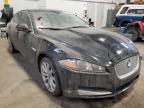 JAGUAR - XF