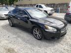 NISSAN - MAXIMA