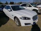 JAGUAR - XF