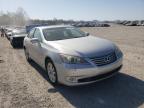 LEXUS - ES350