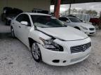 NISSAN - MAXIMA