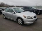 HONDA - ACCORD