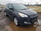 FORD - ESCAPE