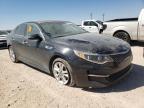 KIA - OPTIMA