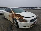 NISSAN - MAXIMA