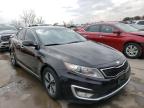 KIA - OPTIMA