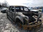FORD - F-150