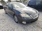LEXUS - ES350