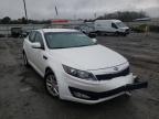 KIA - OPTIMA