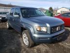 HONDA - RIDGELINE