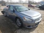 NISSAN - MAXIMA