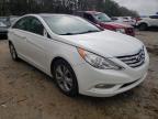 HYUNDAI - SONATA