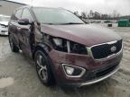 KIA - SORENTO