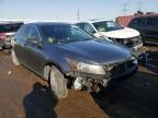 HONDA - ACCORD