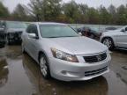 HONDA - ACCORD