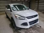 FORD - ESCAPE