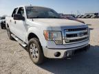 FORD - F-150