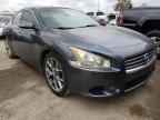 NISSAN - MAXIMA