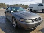 FORD - MUSTANG