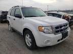 FORD - ESCAPE