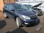 LEXUS - RX330