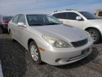 LEXUS - ES330