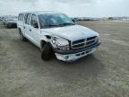 DODGE - DAKOTA