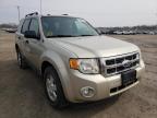 FORD - ESCAPE
