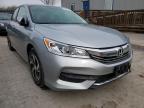 HONDA - ACCORD