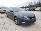 KIA - OPTIMA